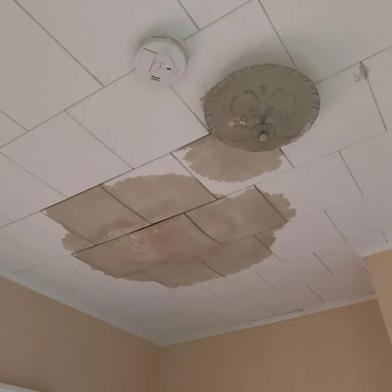 Ceiling Water Damage Repair in Poquonock Bridge, CT